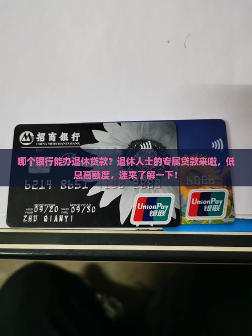 哪个银行能办退休贷款 哪个银行能办退休贷款