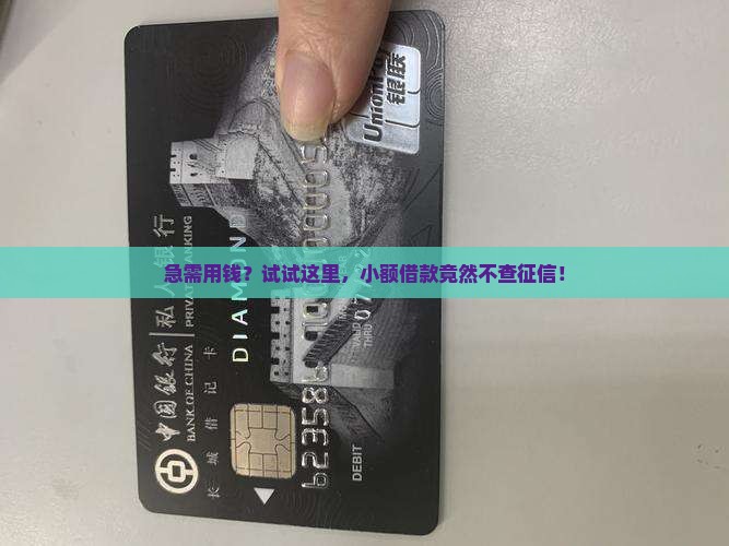 小额贷款不看征信秒过