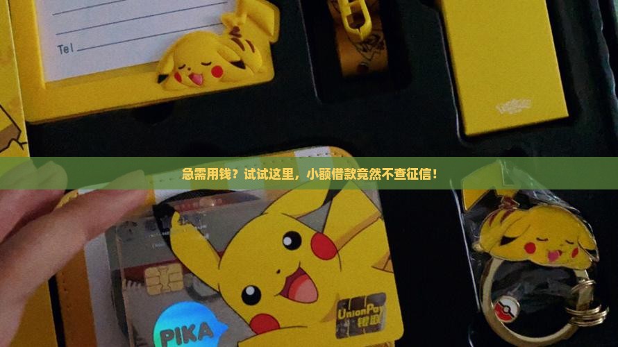 小额贷款不看征信秒过