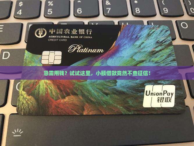 小额贷款不看征信秒过