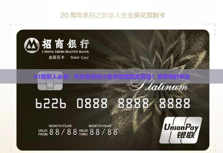 利息最低小额贷款