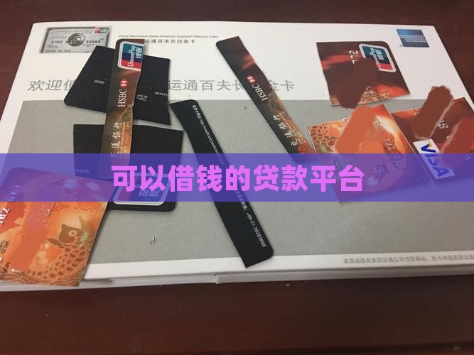 刚刚成年贷款平台