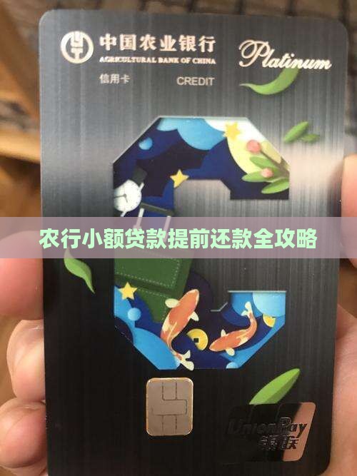 农行小额贷款一次性还款