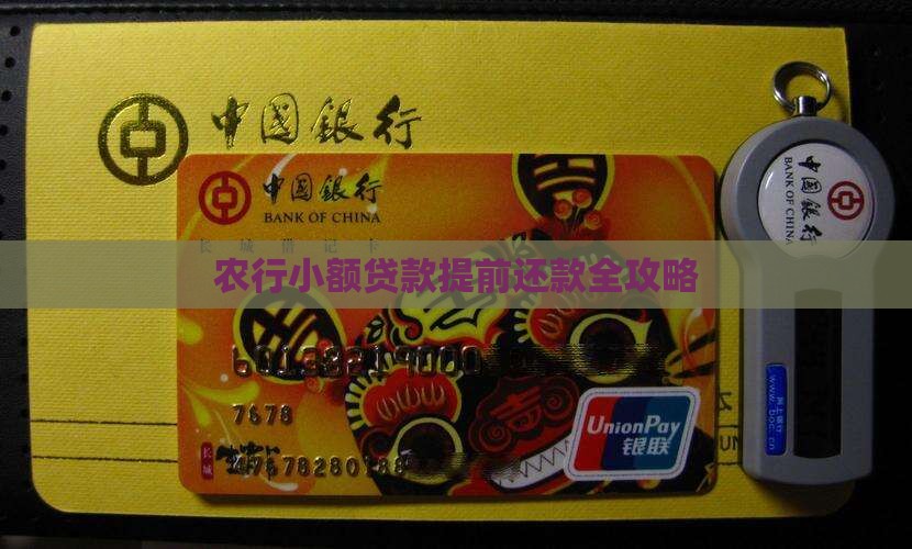 农行小额贷款一次性还款