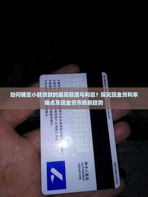 小额贷款最高多少钱利息
