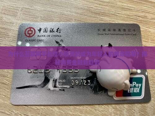 互联网平台借小额贷款