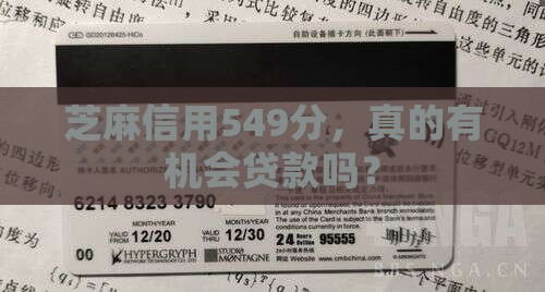 芝麻信用549能贷款吗