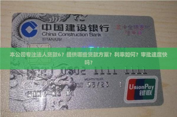 本公司专注法人贷款6