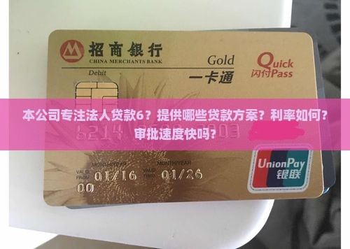 本公司专注法人贷款6