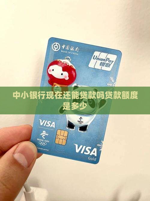 中小银行现在还能贷款吗