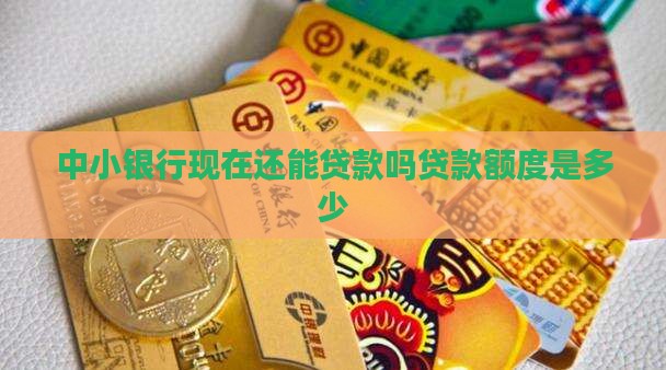 中小银行现在还能贷款吗