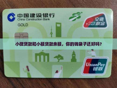 小微贷款和小额贷款余额