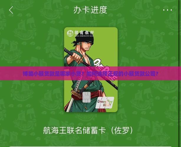 博能小额贷款是哪家小贷