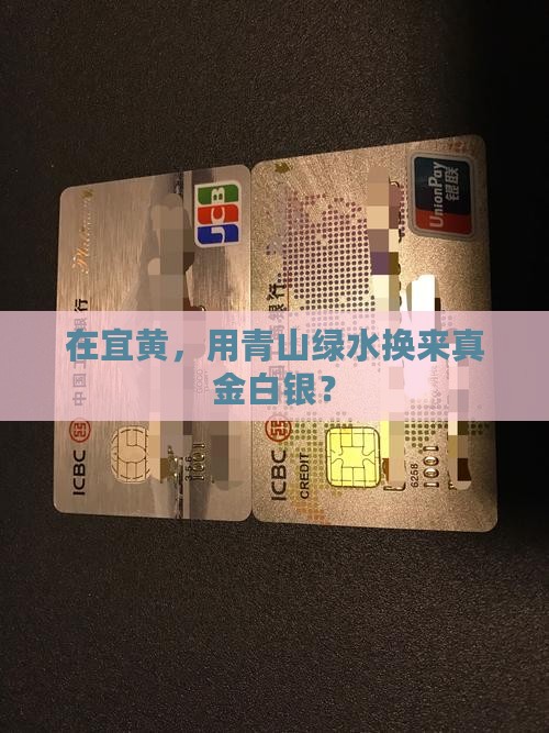 宜黄县林权抵押贷款公司
