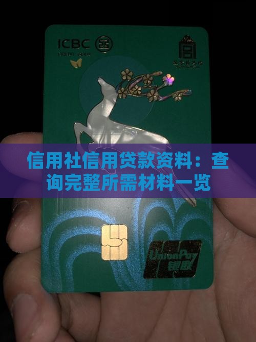 信用社信用贷款资料