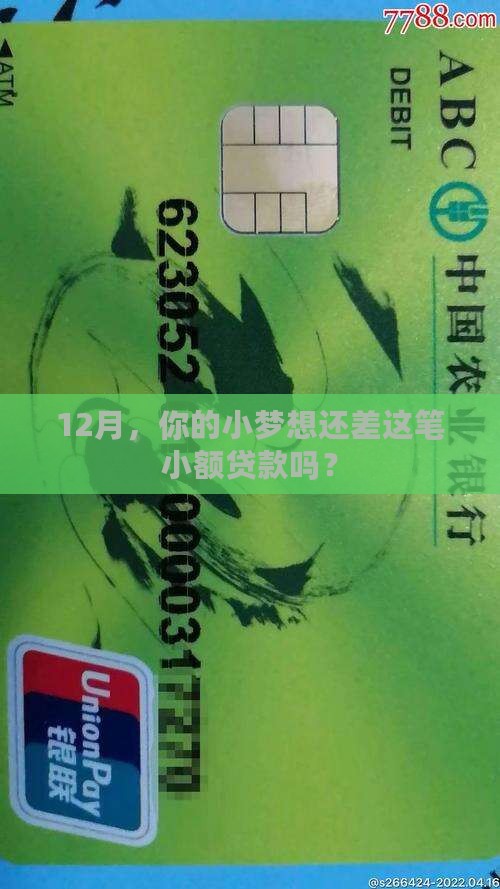 202012月小额贷款