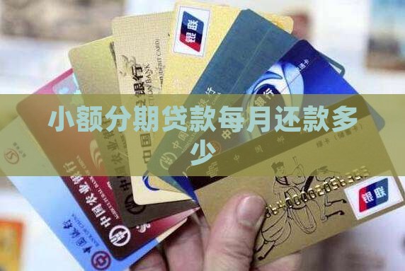 小额贷款一般分期还多少