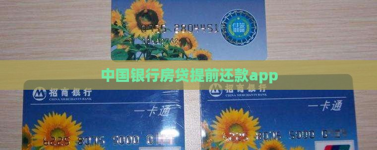 中行贷款提前还款app