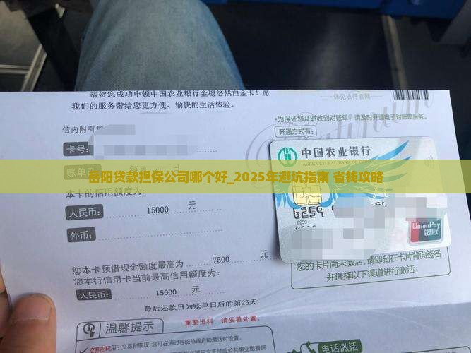 岳阳贷款担保公司哪个好