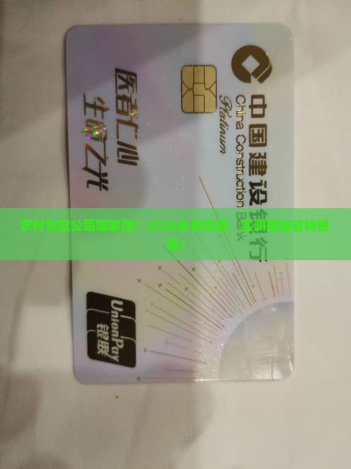 农村有几个公司可以贷款