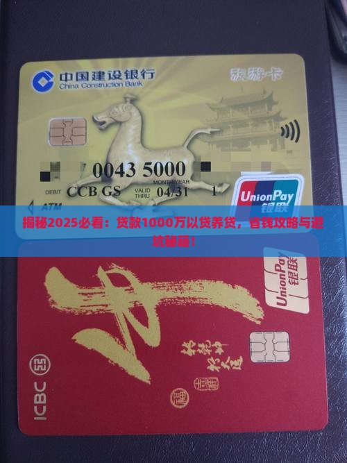 贷款1000万以贷养贷