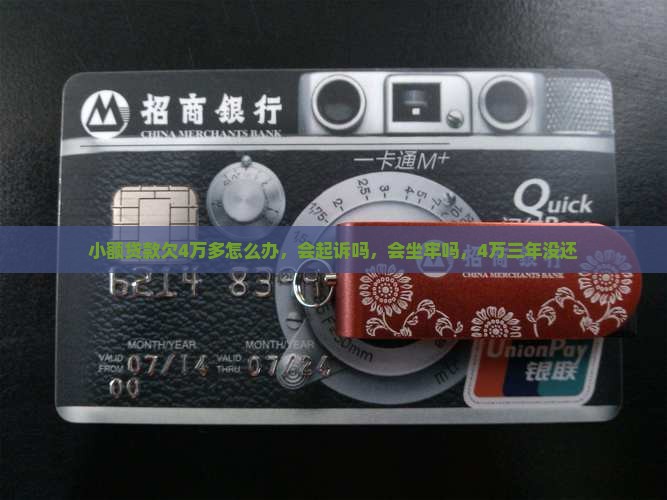 小额贷款欠4万多