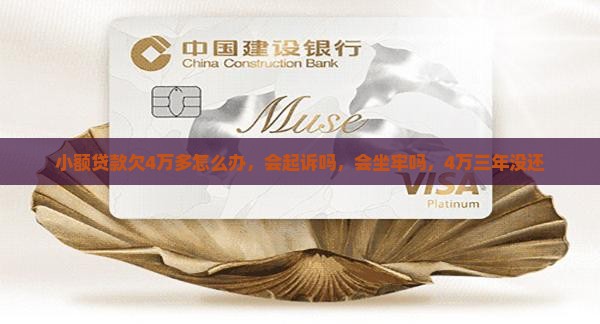 小额贷款欠4万多