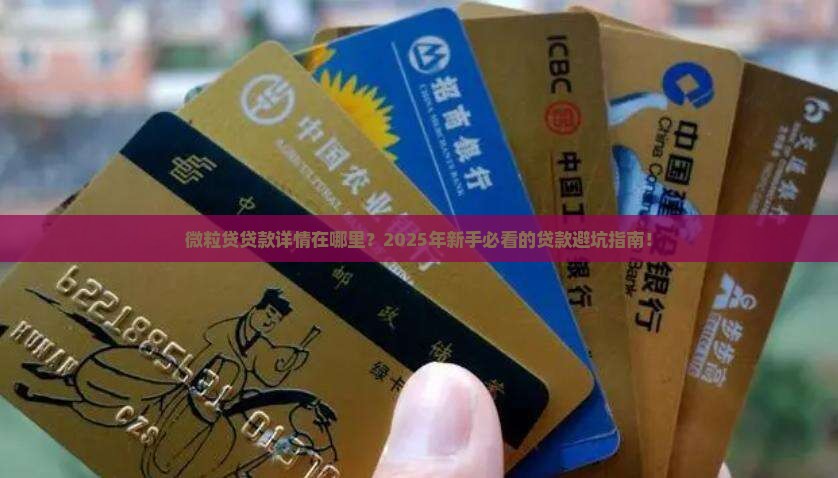 微粒贷贷款详情在哪里