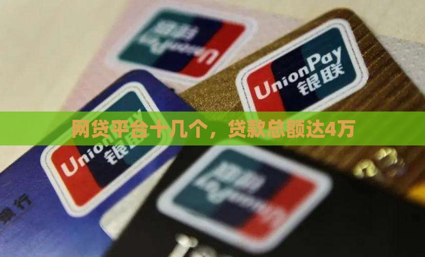 十几个平台贷款4万