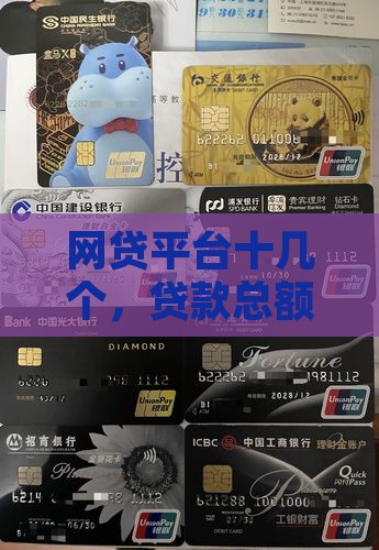 十几个平台贷款4万