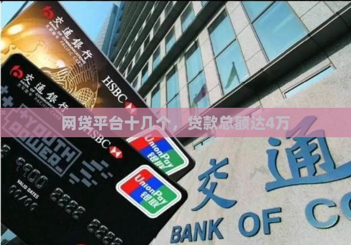 十几个平台贷款4万