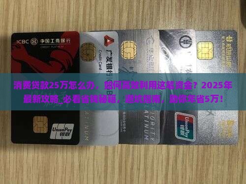 消费贷款25万怎么办