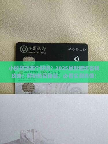 小额贷款哪个好啊