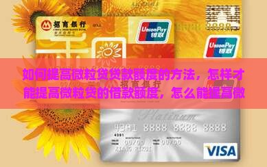 如何提高微粒贷贷款额度