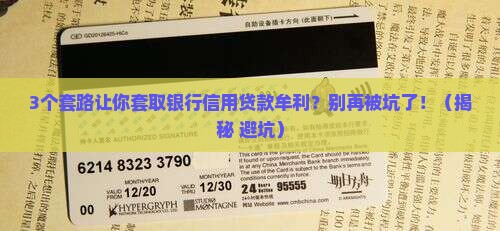 套取银行信用贷款牟利