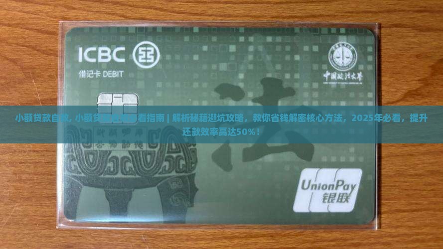 小额贷款自救
