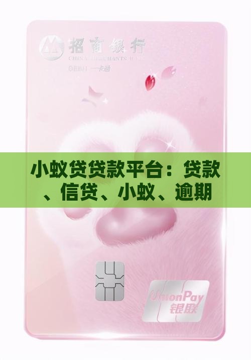 小蚁贷贷款平台
