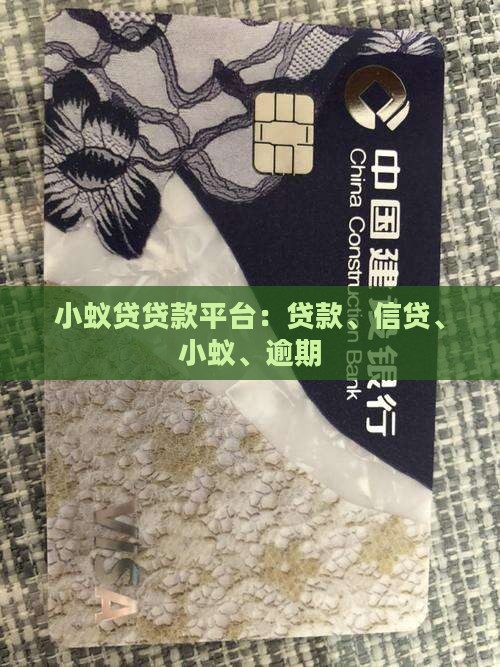 小蚁贷贷款平台
