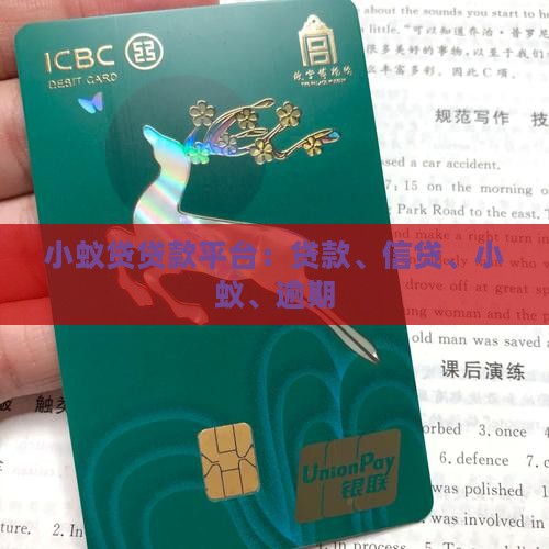 小蚁贷贷款平台