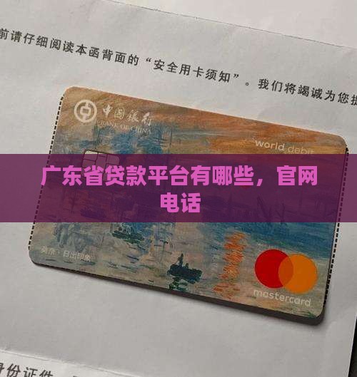 广东省贷款平台