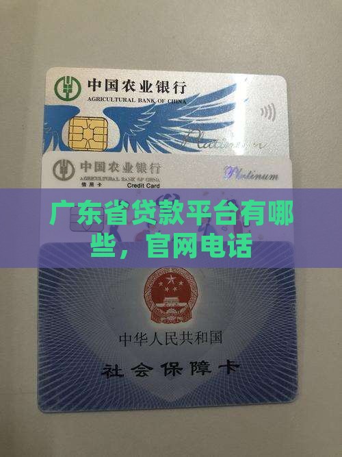 广东省贷款平台