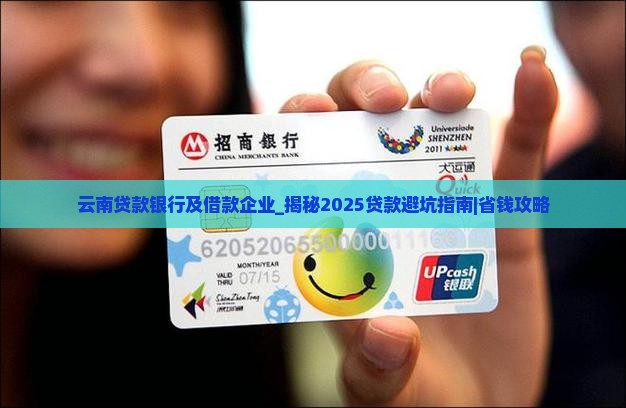 云南贷款银行及借款企业