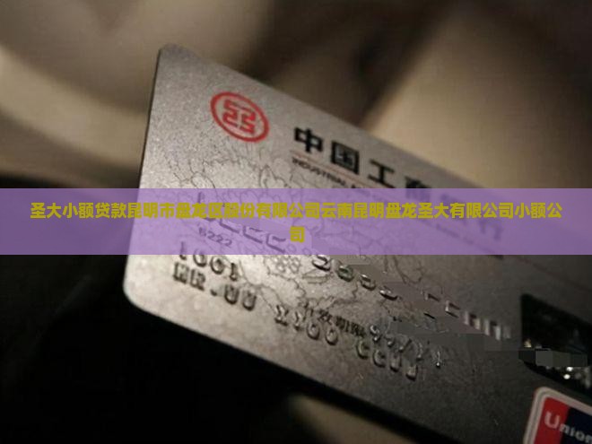 圣大小额贷款上市