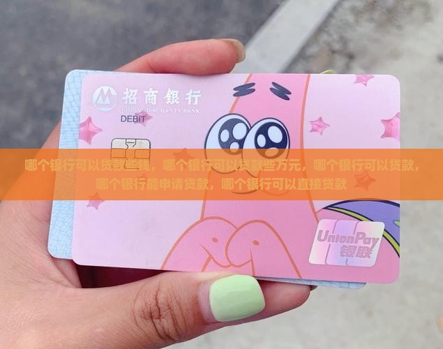 哪个银行可以贷款些 哪个银行可以贷款些