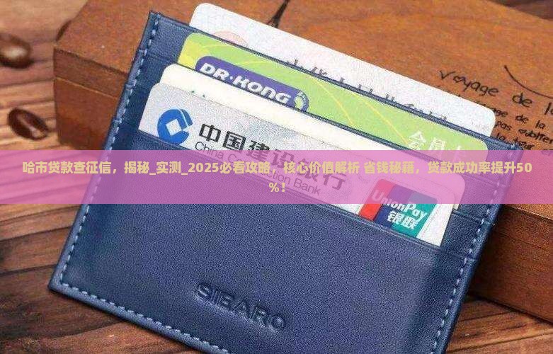 哈市贷款查征信 哈市贷款查征信