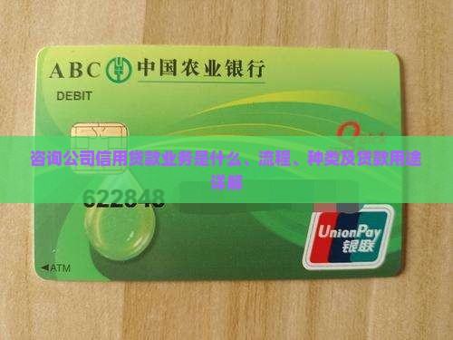 咨询公司信用贷款业务