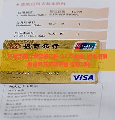 只看芝麻分贷款的软件