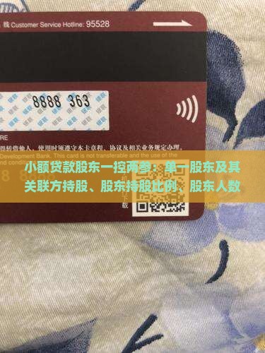 小额贷款股东一控两参