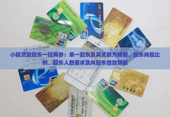 小额贷款股东一控两参