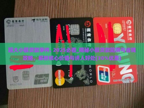 延大小额贷款事件